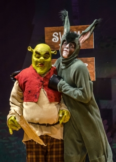 Shrek the Musical Costumes to Rent and MANY More!