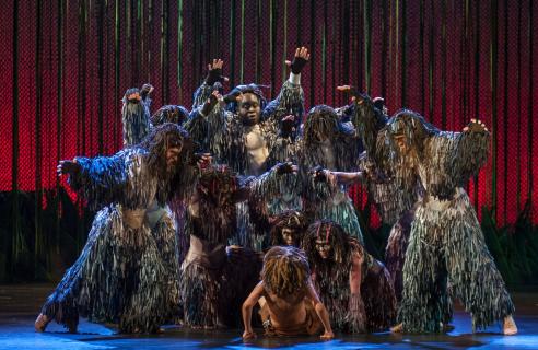 Tarzan The Musical Costumes