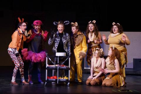 MADAGASCAR Jr - quality costumes for rent