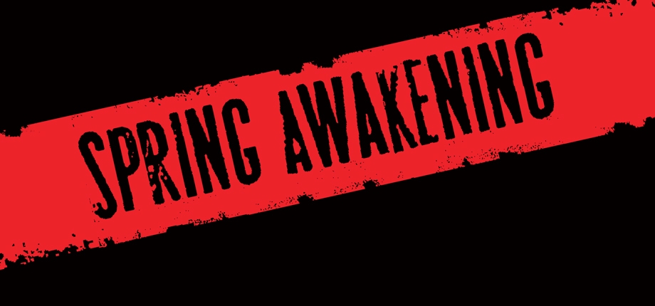 Lea Michele, Jonathan Groff, Duncan Sheik, Brian Johnson, Lauren Pritchard,  Gideon Glick, John Gallagher Jr., Lilli Cooper, Skylar Astin, Steven Sater  - Spring Awakening: A New Musical -  Music