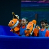 Nemo and Marlin