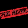 spring awakening