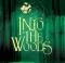 Into The Woods