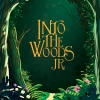 Into The Woods JR.